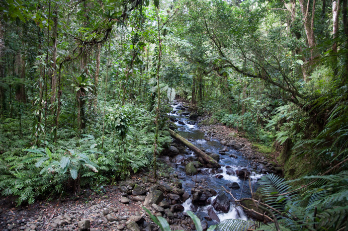 Moreau - Guadeloupe