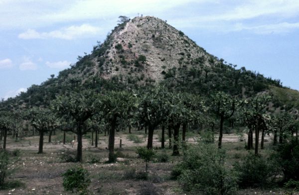 Campagne haïtienne