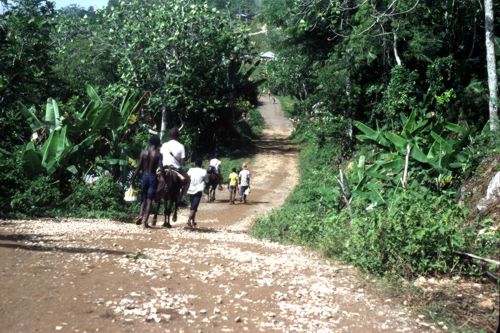 Campagne hatienne.