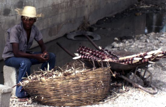 Paysan haïtien