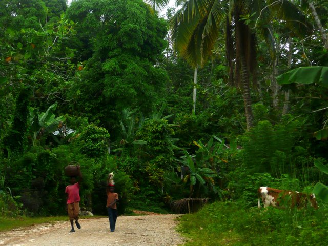 Ayiti 2009