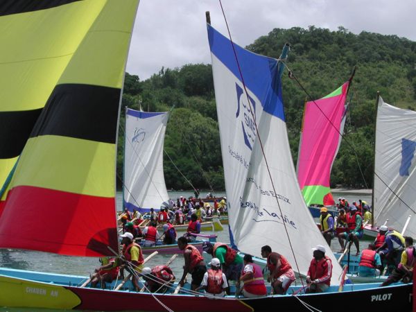 Course de gommiers