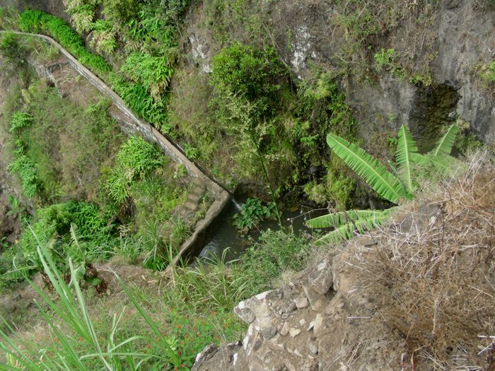 ribeirapaula