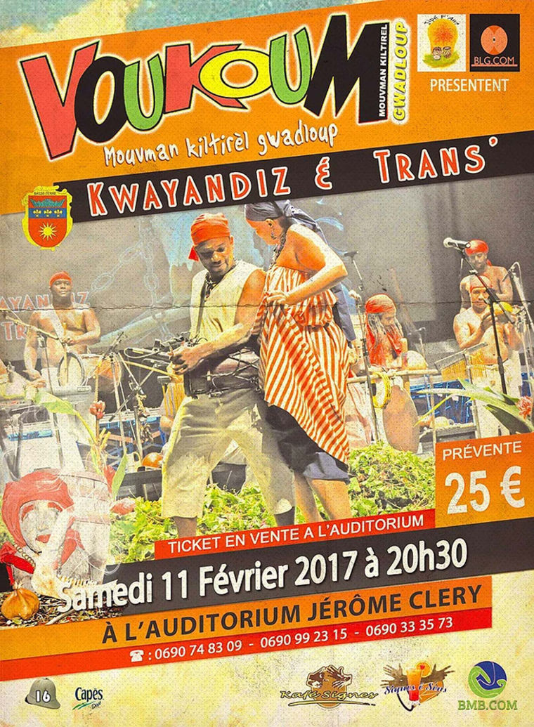 Voukoum -  Programme d'activité 2017