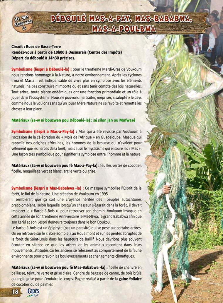 Voukoum -  Programme d'activité 2018