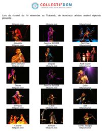 Concert citoyen