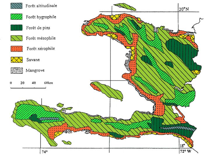 Ayiti