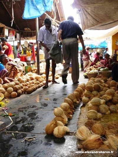 marché Goubert, Pondichéry