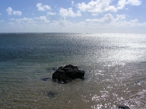 Rodrig