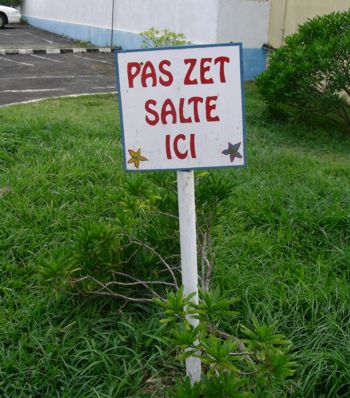Pas zet salte ici