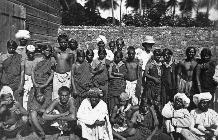 Groupe de travailleurs indiens à la Martinique 