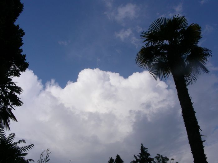 Ciel