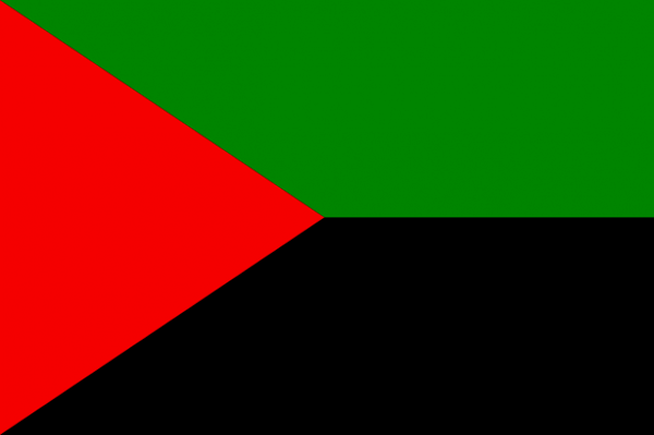 Drapeau Martinique