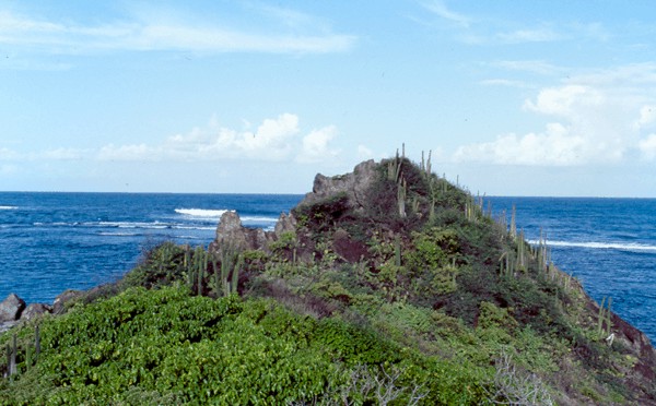 Ilet Chevalier