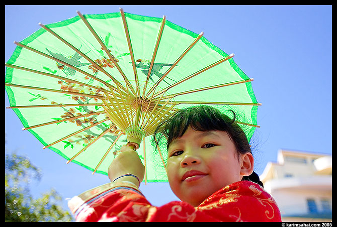 Chinese New Year Celebration