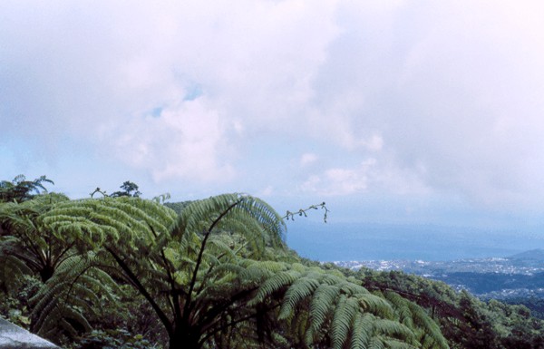 Vue de la Souffrière