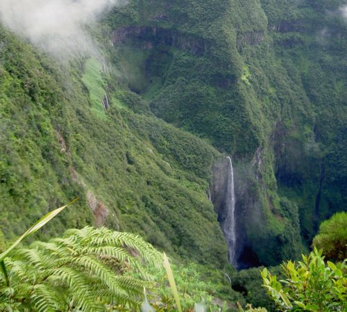 Trou de fer Réunion