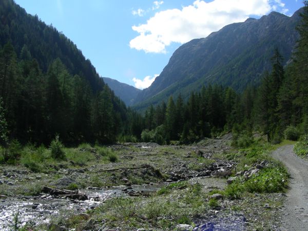 Engiadina