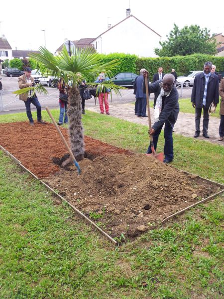 Plantation du Palmier mémoriel.