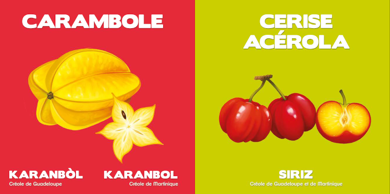 Noémie présente les fruits des Antilles