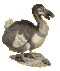 dodo