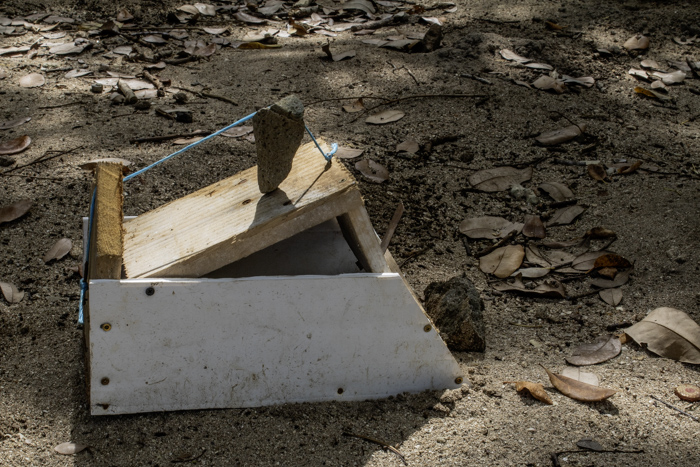 Matoutou pa mat&eacute;t&eacute;