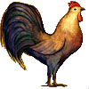 Coq