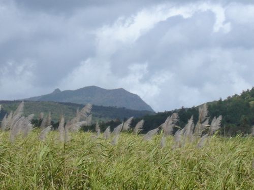 Piton de la RivièreNoire