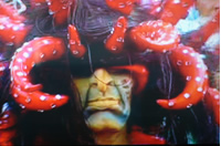 kannaval5