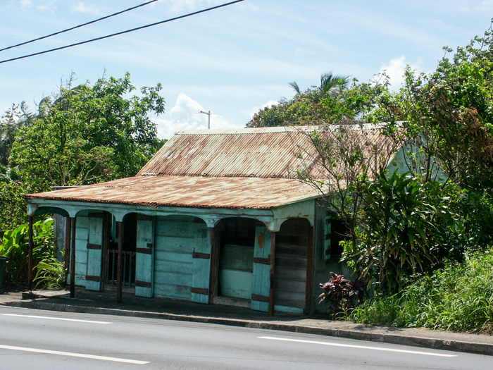 Bananier, Guadeloupe.