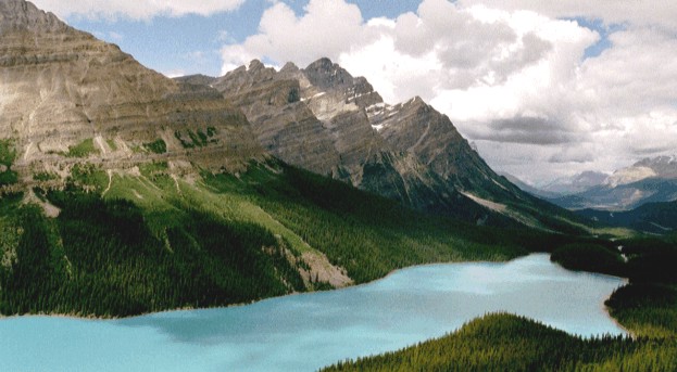 Lake Peyto