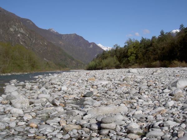 Ronchini - Vallemaggia