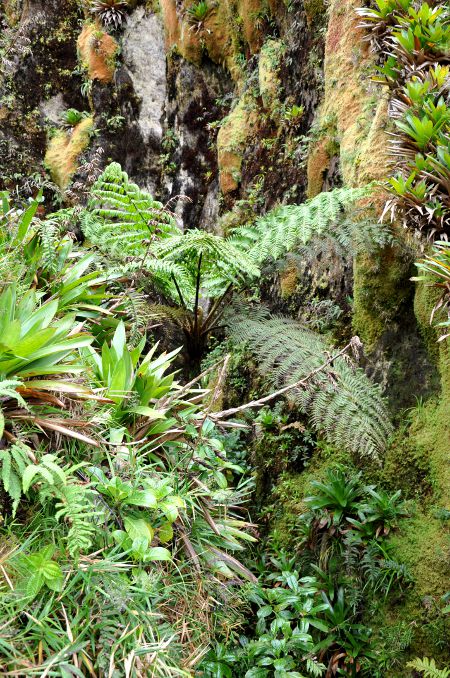 Soufrière