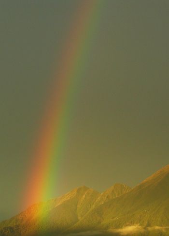 Rainbow